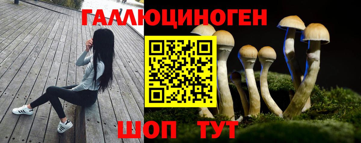 Псилоцибиновые грибы MAGIC MUSHROOMS  Вход с VPN  Лангепас 